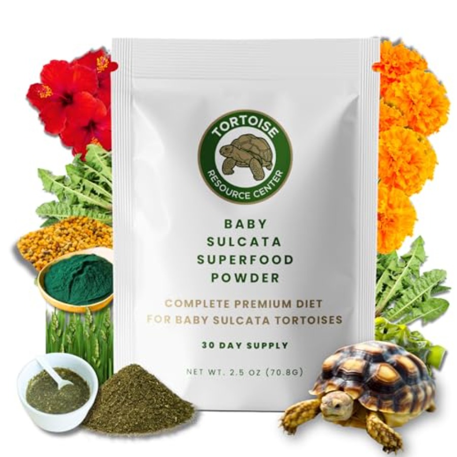 Baby Food High In Protein - 【Spot goods】Baby Sulcata Food Powder with