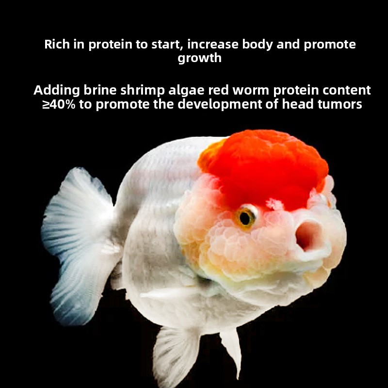 Fish Baby Sinking Goldfish Foo - Baby Food High In Protein บทวิจารณ์และราคา