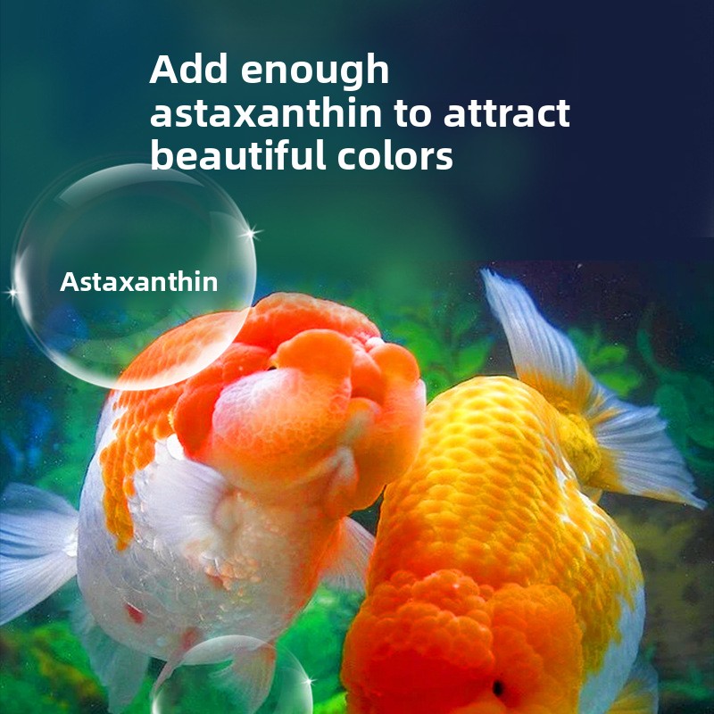 Fish Baby Sinking Goldfish Foo - Baby Food High In Protein บทวิจารณ์และราคา