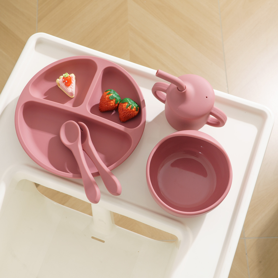 5PCS Baby Silicone Tableware S - Baby Food Grater บทวิจารณ์และราคา