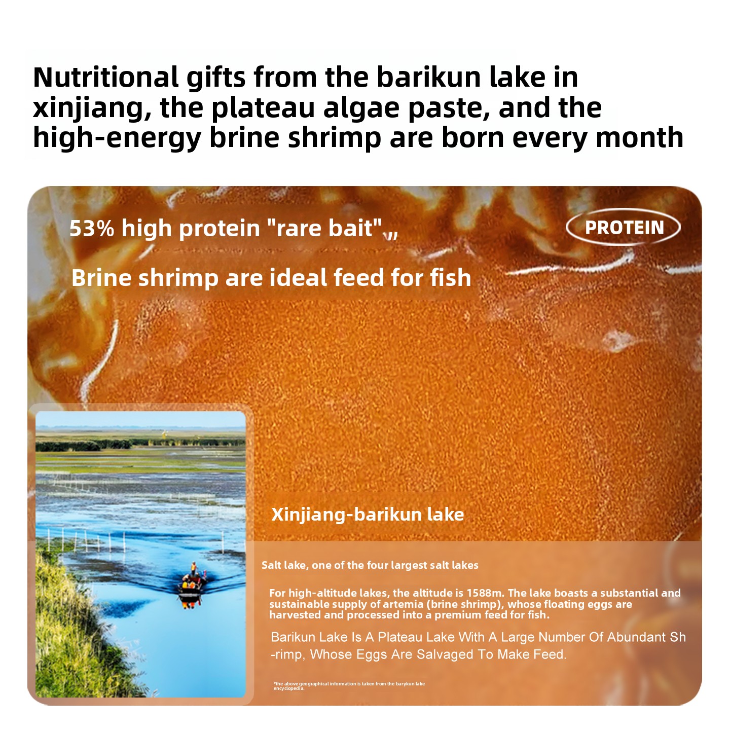 SANKii Decapsulated Brine Shri - Baby Food High In Protein บทวิจารณ์และราคา